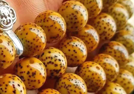 星月菩提怎么盤出包漿 星月菩提怎么盤出包漿