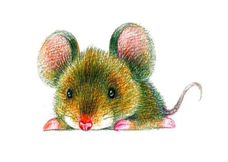 屬鼠人的貴人是什么屬相 屬鼠人的貴人是什么屬相