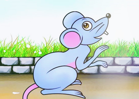 屬鼠的人哪天出生命最好 屬鼠的人哪天出生命最好