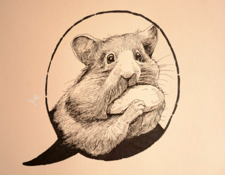 屬鼠女人婚姻與命運 屬鼠女人婚姻與命運