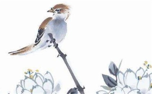 手機號碼55591好不好 如何選擇手機號碼磁場能量組合