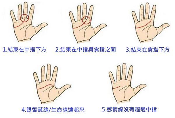 如何從感情線看人的性格與適合從事的職業(yè) 如何從感情線看人的性格與適合從事的職業(yè)
