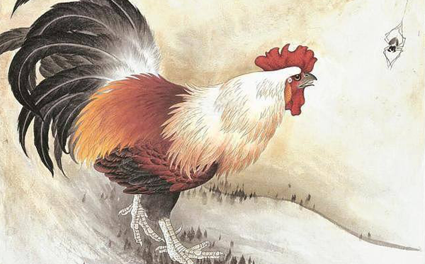 屬雞的性格和脾氣 屬雞的性格和脾氣