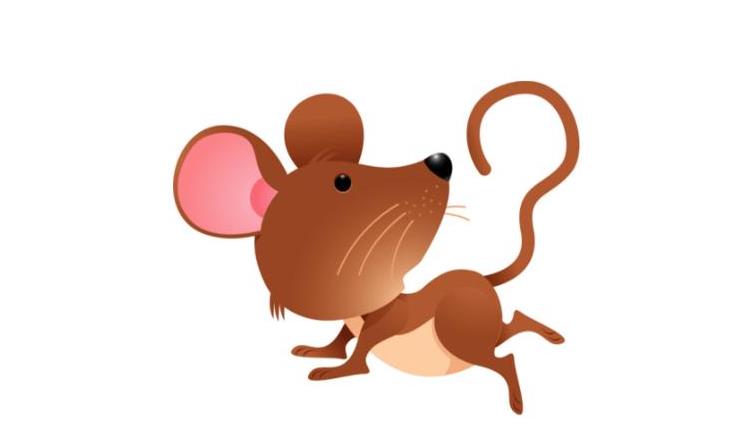 黑肖是指哪幾個生肖 黑肖是指哪幾個生肖