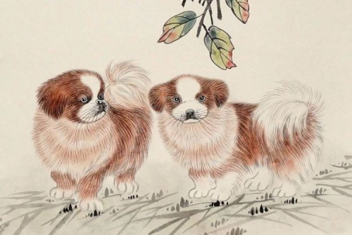 2006屬什么生肖 今年多大了 2006屬什么生肖 今年多大了