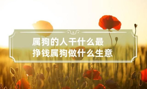 屬狗人做什么行業發財 屬狗人做什么行業發財