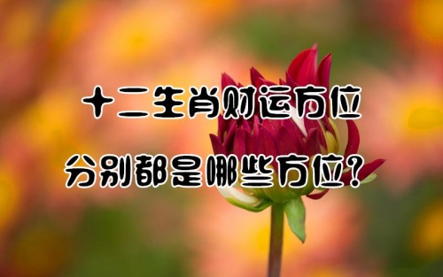 十二生肖財位對照表 十二生肖財位對照表