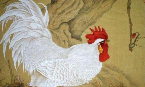 屬雞的幾點出生好時辰 屬雞的幾點出生好時辰