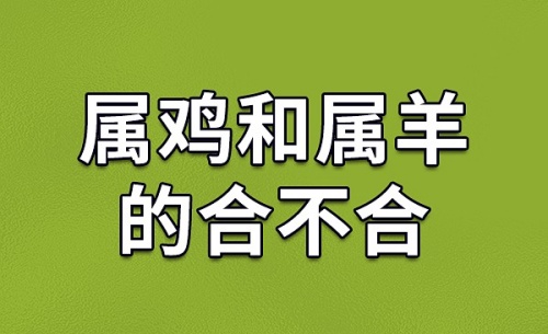 屬雞人和屬羊人婚配好不好