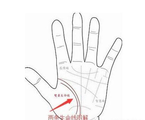 雙重生命線好不好,兩條生命線好不好？