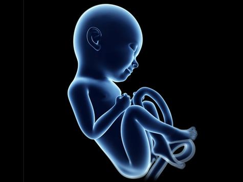 夢見胎兒是什么意思周公解夢 夢見胎兒是什么意思周公解夢