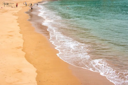 大海水命和大林木命相配嗎 大海水命和大林木命相配嗎