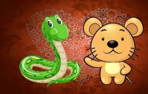 屬鼠和屬蛇的合不合