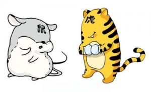 屬鼠和屬虎的合不合