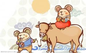 屬鼠和屬牛的合不合