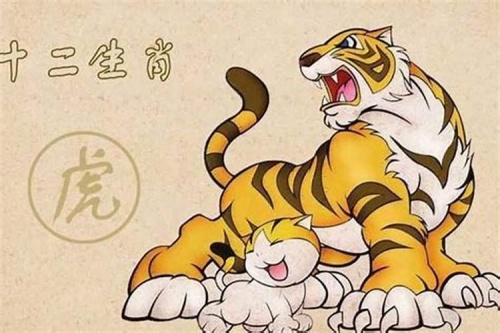 老虎最不合的四個屬 老虎最不合的四個屬