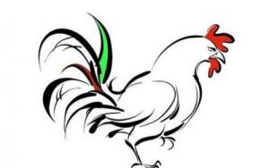 屬雞的和什么屬相最配、相克