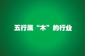 五行屬木的行業與職業有哪些