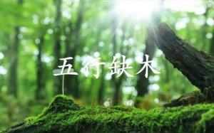 五行缺木的人婚姻怎么樣？