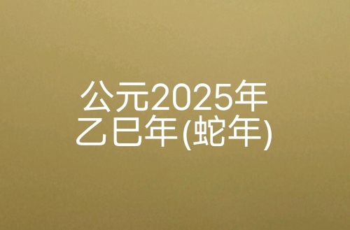 2025年是什么年