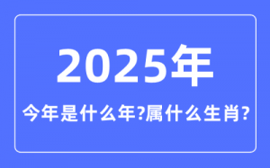 2025年是屬什么年