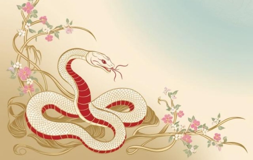 2025年屬蛇36歲開始走大運 2025年屬蛇36歲開始走大運