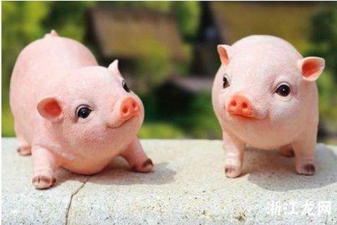 屬豬的男人性格和脾氣及愛情 屬豬的男人性格和脾氣及愛情