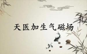 天醫加生氣磁場組合能量分析