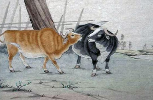 1997年屬牛的是什么命