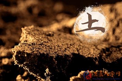 土命適合做什么行業最佳