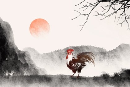 苦雞一般生在幾月 苦雞一般生在幾月