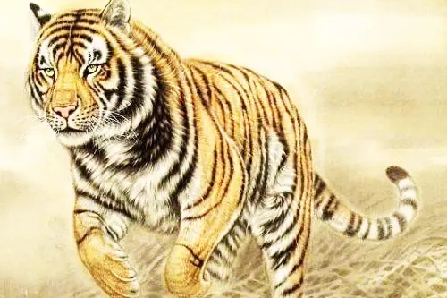 屬虎和屬蛇的合不合 屬虎和屬蛇的合不合