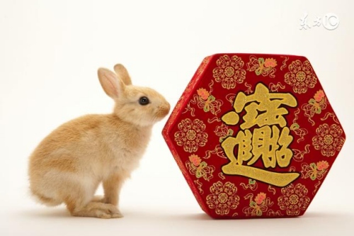 87年屬兔38歲運(yùn)勢走向 87年屬兔38歲運(yùn)勢走向