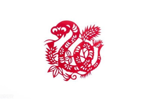 屬蛇的幾月出生最苦命 屬蛇的幾月出生最苦命