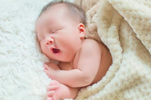 2025木蛇最吉利的名字 2025木蛇最吉利的名字