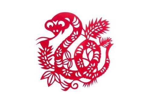 屬蛇的人一生命運如何