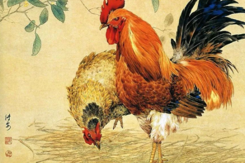 屬雞的和什么屬相相克 屬雞的和什么屬相相克