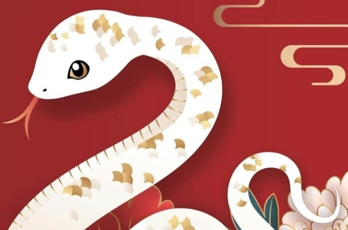 屬蛇發(fā)財?shù)哪膫€城市 屬蛇發(fā)財?shù)哪膫€城市