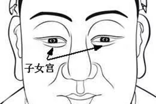 面相中子女宮在哪個位置 面相中子女宮在哪個位置