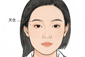 面相中天倉是指哪個部位