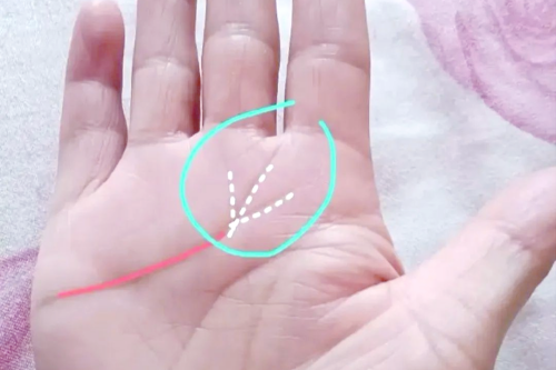 事業線后面有鳳尾紋有什么說法