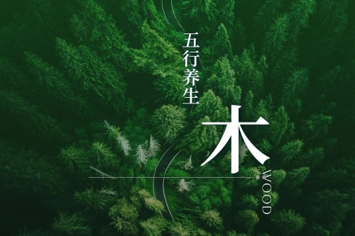 五行屬木的飾品有哪些 五行屬木的飾品有哪些