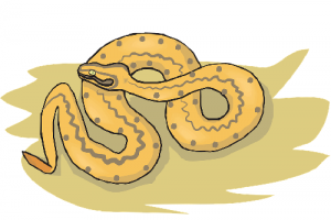 屬蛇人2026年每月運勢及全年運程