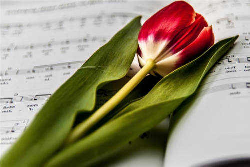 2026年喜事臨門(mén)的生肖 2026年喜事臨門(mén)的生肖