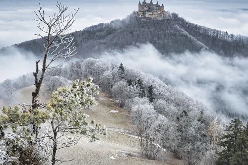 2026正緣紅鸞星動(dòng)的日柱 2026正緣紅鸞星動(dòng)的日柱